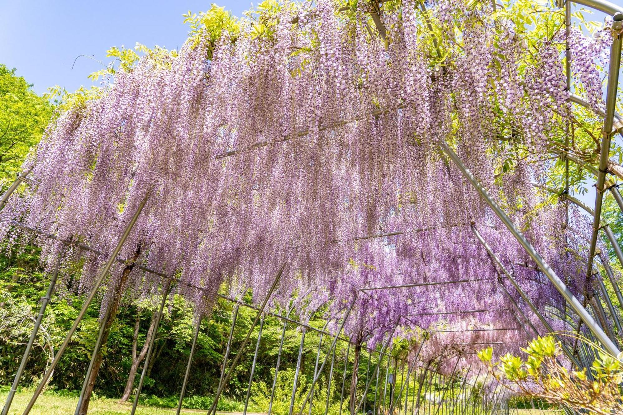 Kamenoi Hotel Ichinoseki Dış mekan fotoğraf